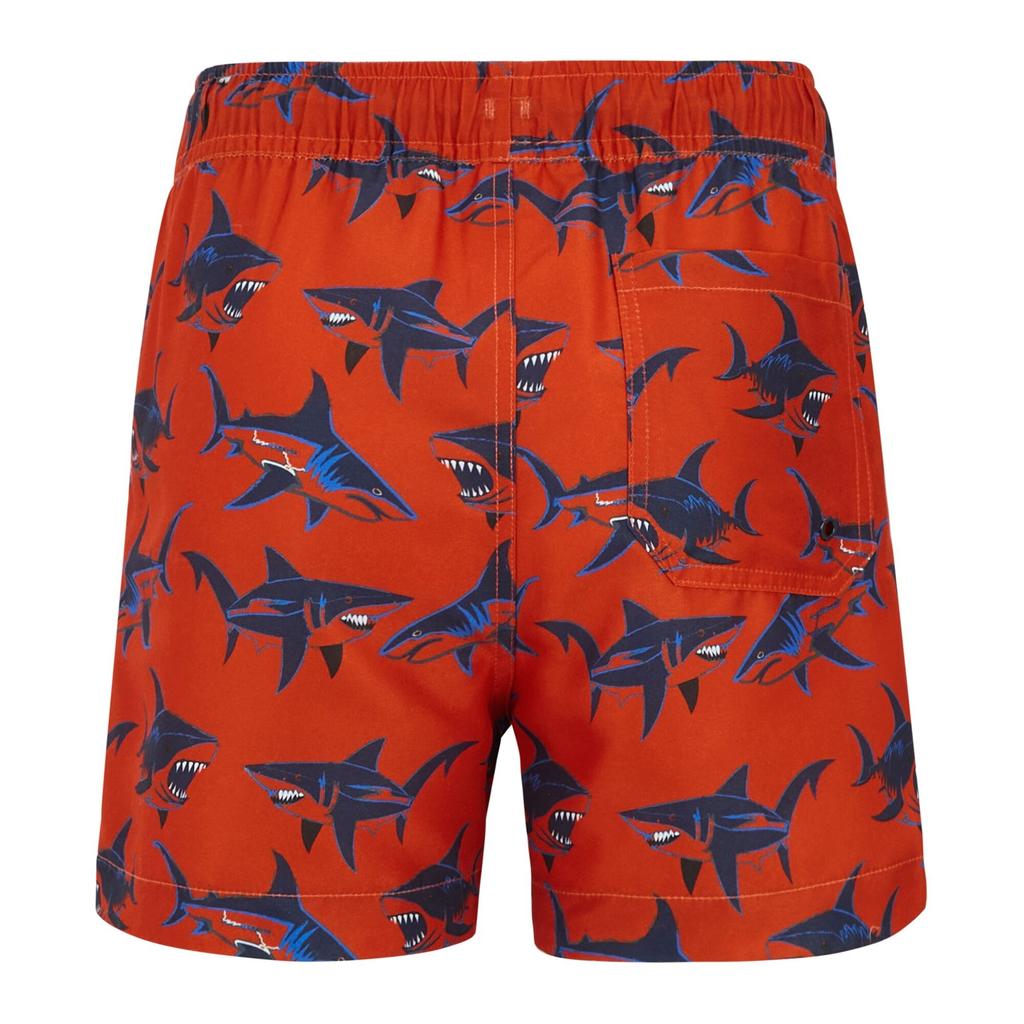 Regatta Boys Skander Shark Swim Shorts
