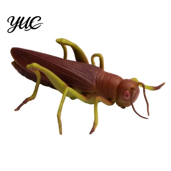 Decompression Insect Squishy Toy Realistic Toy, Stretchy Stress Relief Fidget Snail Bat TPR Material Squeeze Tools Locust Mantis Fly Mole Cricket