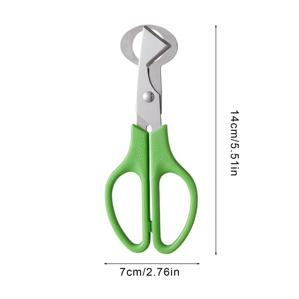Forbici per Uova di Piccoli Uccelli (Piccioni, Quaglie) Taglio Aperto Guscio d'Uovo Separatore Guscio d'Uovo Uccello Tagliasigari Apribottiglie Pinza Strumenti da Cucina
