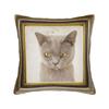 Cute Caroon Cat Portrait Photo Frame Art Pillow Case  Morden Pillow Cover Comfy Pillowcases For Living Room Bed Chair