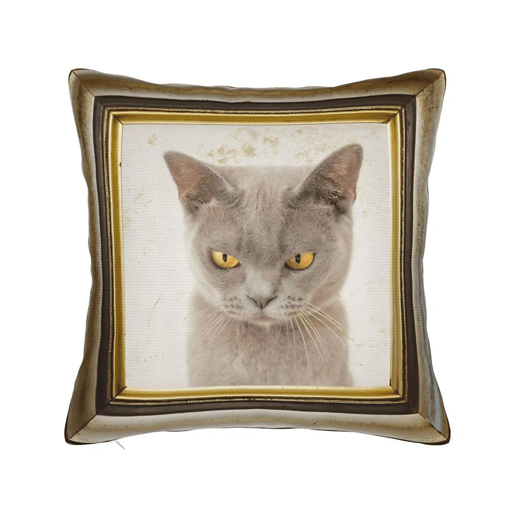 Cute Caroon Cat Portrait Photo Frame Art Pillow Case Morden Pillow Cover Comfy Pillowcases For Living Room Bed Chair