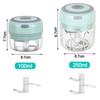 Electric Garlic Chopper Usb Charging Ginger Masher Machine Mini 100/250ml Sturdy Durable Chili Vegetable Crusher Kitchen Tool