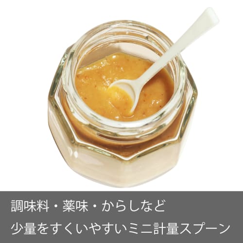 Takayama Salt Master Mini Measuring Spoon Set, 0.25cc, 1cc, 2cc, 3cc (approximately 0.25g, 1g, 2g, 3g of Salt)