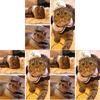 Adorabile Completo da Marinaio per Piccoli Animali Domestici con Cappello e Mantellina Perfetto per Regali