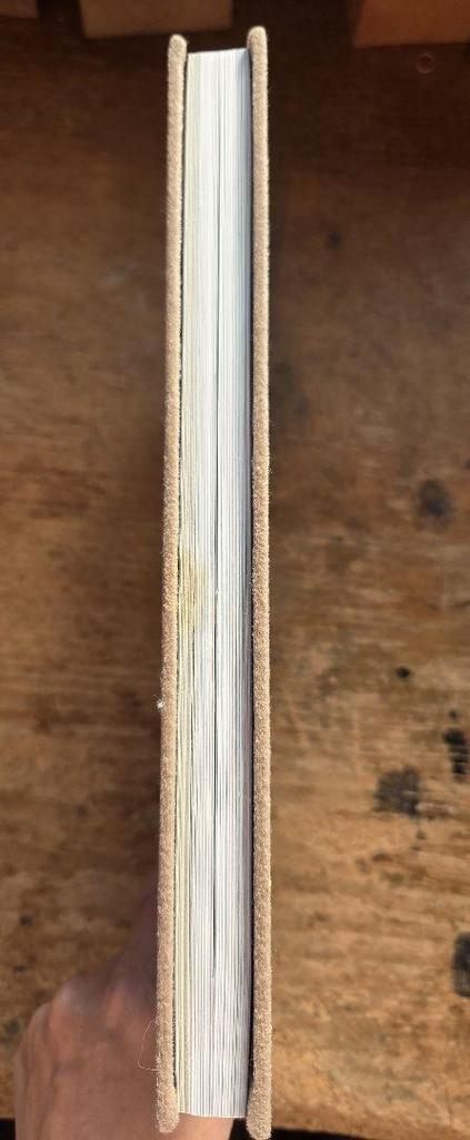 [USED] Takeyoshi Fujito's Collection of Works: Wood Carving Bear Child by Takeyoshi Fujito, Ainu