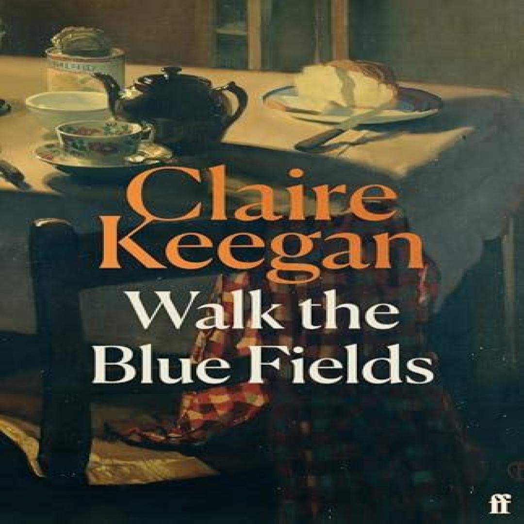 Geh durch die blauen Felder von Claire Keegan Hardcover Buch 9780571397464