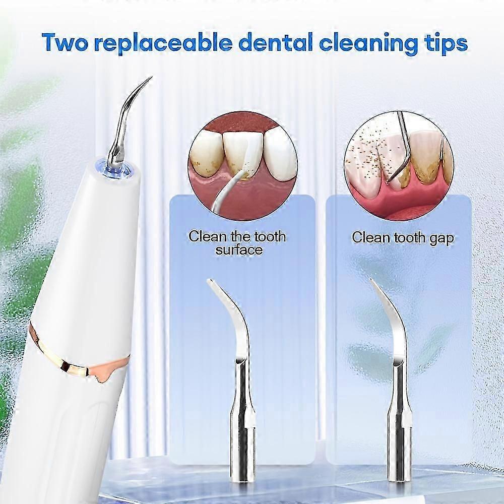 1set Ultrasonic Dental Scaler Electric Sonic Teeth Plaque Cleaner for Removing Dental Stone Tartar Stain with Professional Calculus Cleaning Function