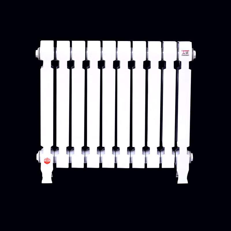 Lixing TZY2-6-8/62B Cast Iron Radiator