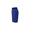 Casual Shorts Men's Blue Moderate 821918-455