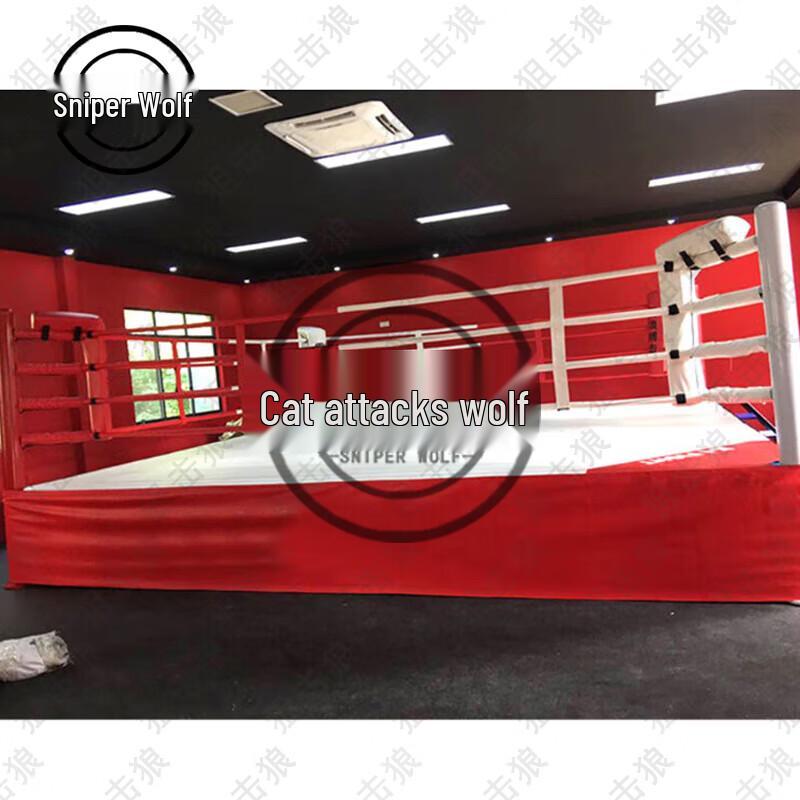 Professional Boxing & Sanda Competition Ring