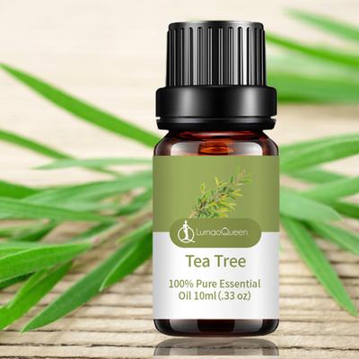10ml Meridian Dredging Oil Easy To Absorb Deep Cleanse Repair After Sun Shrink Pore Non-irritating Acne Removal Safe Tea Tree Essential Oil