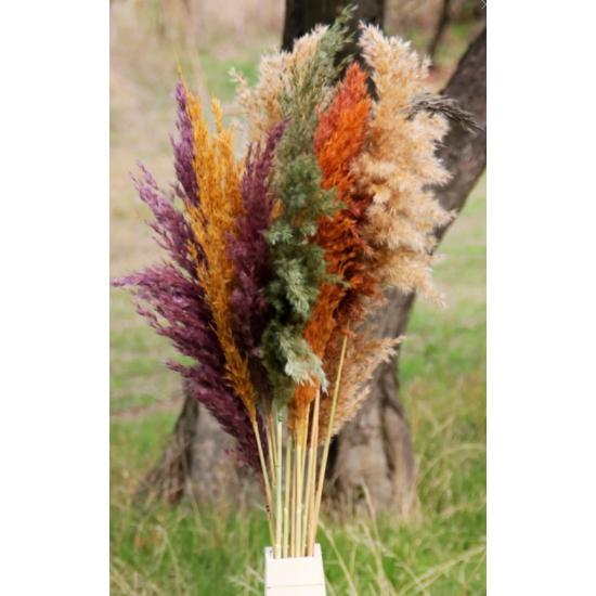 

Kuru Çiçek Pampas 15 Adet 100 Cm Boy - Karışık