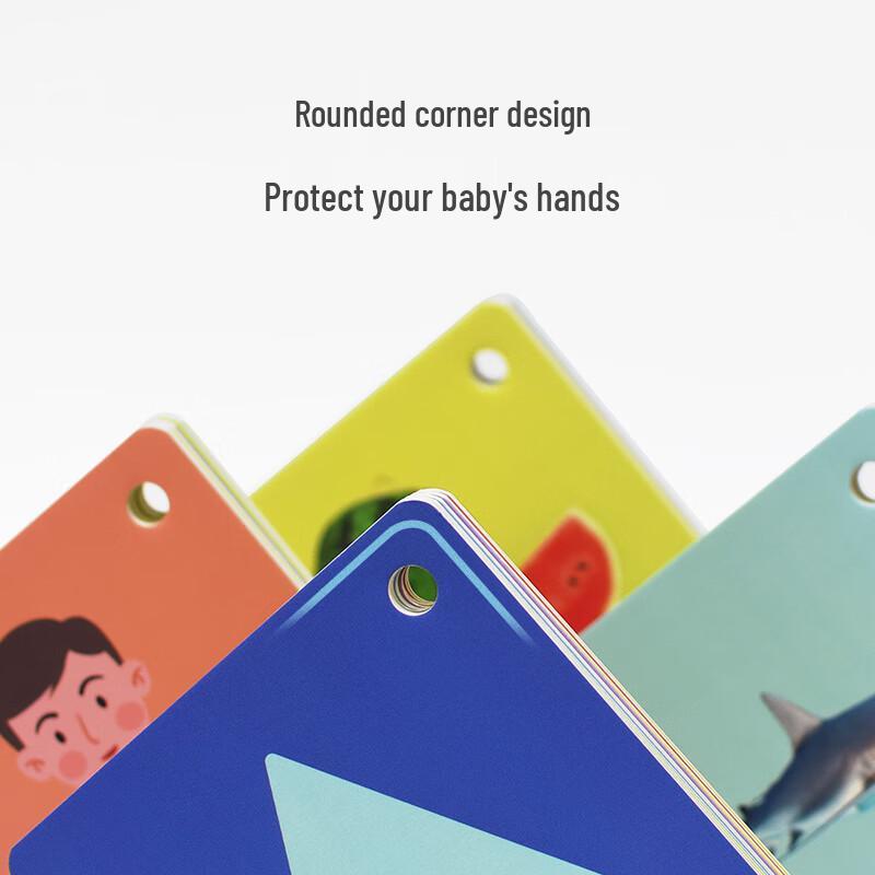 MY FIRST BOOK Early Learning Cognition Card Set