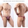 Pánská tanga Károvaný potisk Sexy každodenní nošení Pánské elastické pas G-string kalhotky