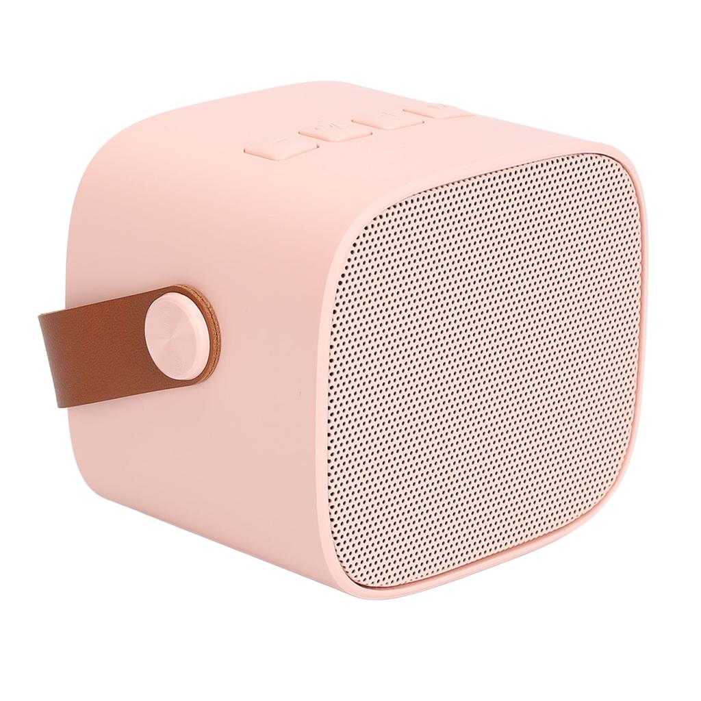 Mini Karaoke Maschine Mini Karaoke Tragbarer Bluetooth Lautsprecher mit 2 Drahtlosen Mikrofonen für Kinder Erwachsene Pink