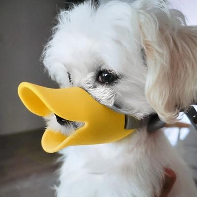 Cani – Attrezzature per l'addestramento dei cani