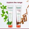 Himalaya Botanique Simply Cinnamon Toothpaste For Plaque Control & Fresh Breath With Neem & Pomegranate 150G