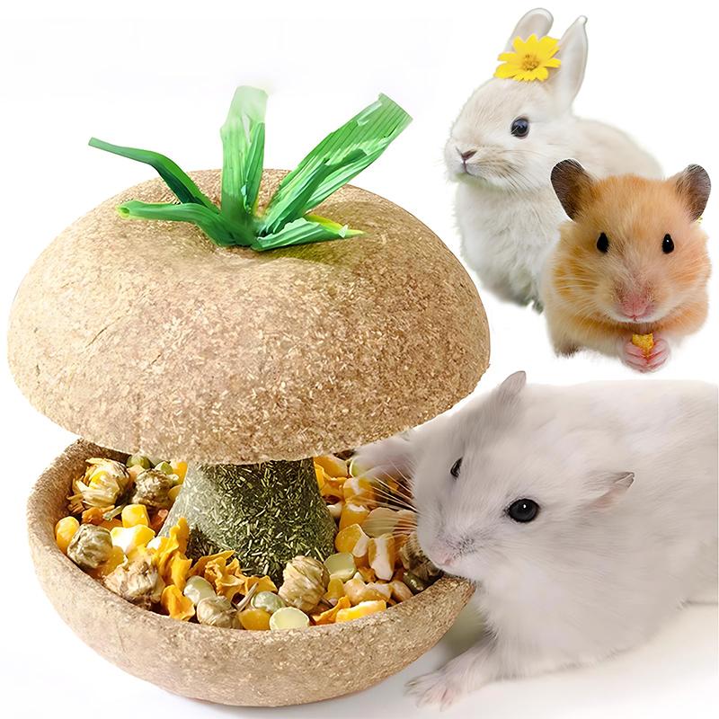 Hamster Chew Toys For Teeth - Guinea Pig Chew Toys For Teeth Food Chews Treats Hamster Cage Accessories