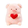 Peluche Simulation Pig Doll Toys Hug Red Heart Stuffed Pig Plushie Doll  Birthday Parties