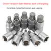 10 Piece Multitooth Sleeve Set 1/2 Drive Sockets for All Nuts and Bolts Chrome Vanadium Steel Construction Convenient Storage
