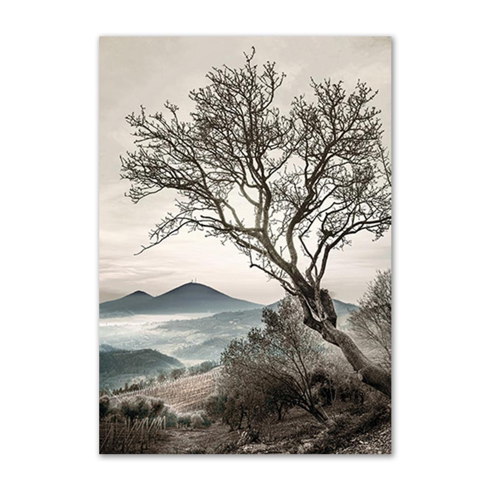 Forest Scenery Poster Prints Nature Landscape Sunlight Grassland Canvas Painting Wall Art Picture for Home Decor Painting Art