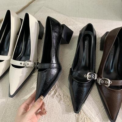 2025 Spring and Autumn New Fashion Versatile Thick Heel Pointed High Heel Single Shoes Women's Korean Version French Small Leather Shoes Retro