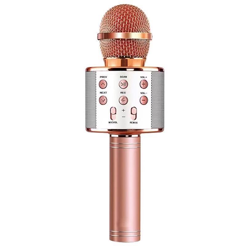 "WS-858 Wireless Bluetooth Karaoke Microphone for Kids – Integrated Audio & Singing"
