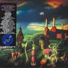 LP-Schallplatte VERSCHIEDENE Tiere neu interpretiert Eine Hommage an Pi CL02584 Cleopatra 2022 US Rock