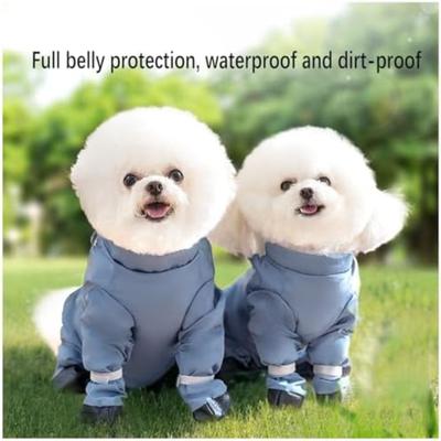Perros – Suministros de salud