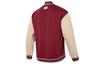 Puma TEAM BADGE Baseball Jacket Unisex 677373-49