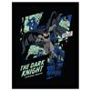 Batman The Dark Knight Strikes Again Comic Framed Poster