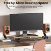 2Pcs Desktop Speaker Stand 6° Incline Space Saving Mount Speaker Risers for Living Room Study Room Table Easy to Use