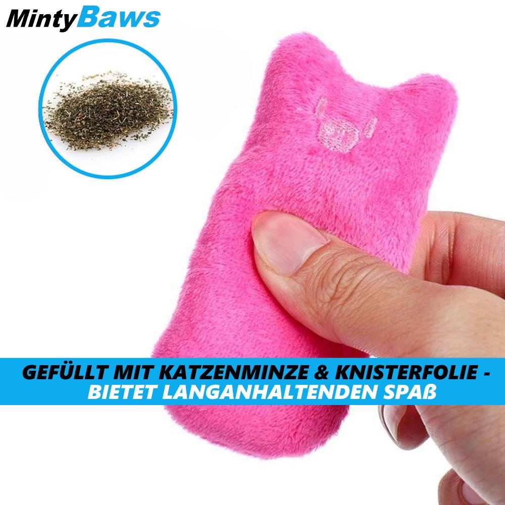 MintyBaws Catnip Pillow Cat Toys Cat Activity Mint Set of 5