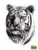 Waterproof Animal Totem Temporary Tattoo Stickers Realistic Tiger Head Design Durable Skin Safe Transfer Decals for Body Art