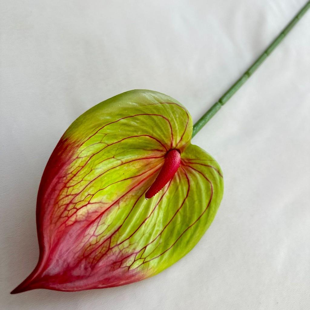 Plants Anthurium Simulated Wedding Hotel Restaurant Decoration Desktop Ornament