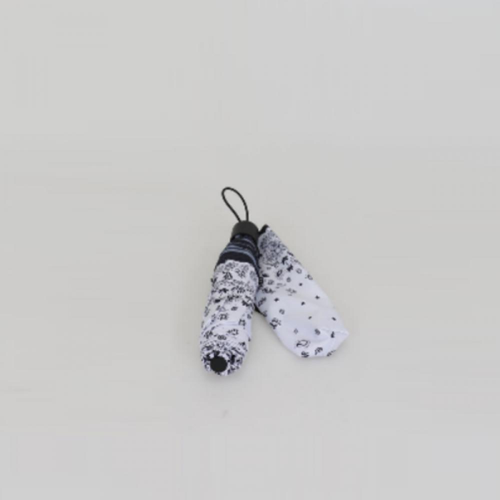 

Rouge Lounge Women Amor Flare 3 Stage Umbrella Wiv Ra2g3aub002 2. SKY BLUE
