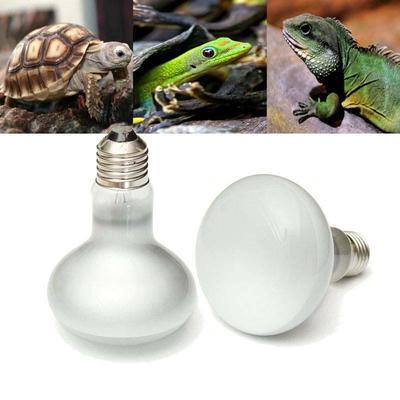 1Pcs Turtle Lizard Snake Reptiles Heating Lamps