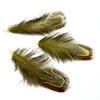 50Pcs 4-8cm Rare Precious DIY Wedding Party Decorative Multi-colour Pheasant Plume Feather Natural Feathers for Home Decoration