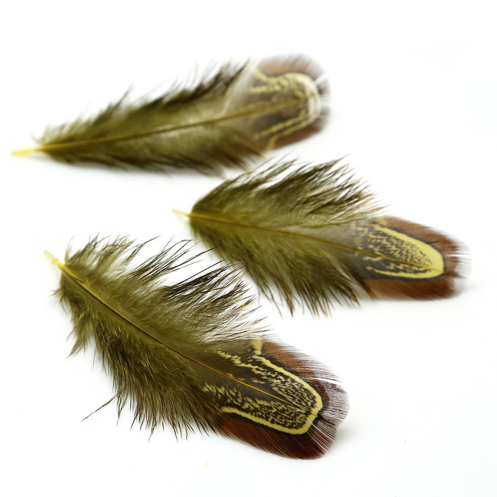 50Pcs 4-8cm Rare Precious DIY Wedding Party Decorative Multi-colour Pheasant Plume Feather Natural Feathers for Home Decoration