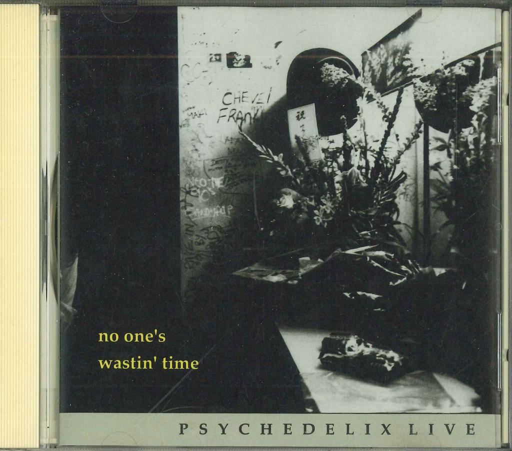 CD PSYCHEDELIX PSYCHEDELICS  NoOnes Wastin Time  PSY7 EDOYA 1992 Japan ObiJapanischer PopRock Gebraucht