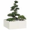 VidaXL Planter White 100x100x40 Cm Steel, Flower Pot, Plant Stand, Raised Bed, Planter Support, Container 860816