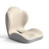 AwaRisu [Integrated] Chair Cushion for Back Pain Relief & Lumbar Support, Memory Foam, Breathable