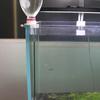 Aquarium Automatisches Nachfüllsystem Fisch für Tank Wasserfüller Kompensator Fisch Schildkröte für Tank Wasserstandskontroller mit A