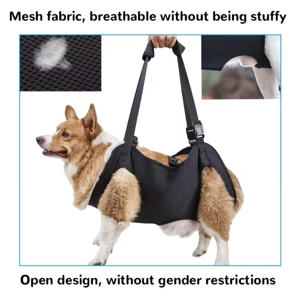 Adjustable Pet Backpacks Help with Carrying Dog Body Support Bag New Dog Lift Harness Injured Dogs
