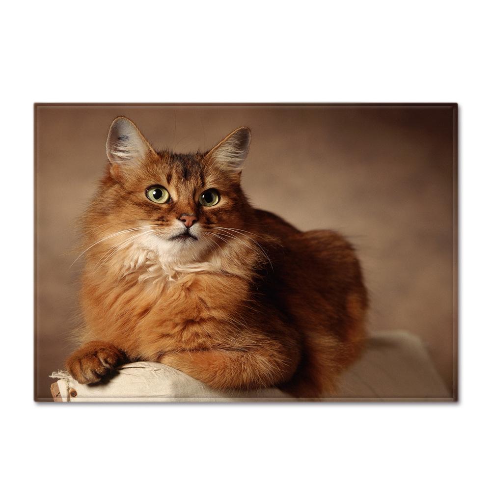 Animal Large Carpet Feather Wind Bedroom Floor Mat