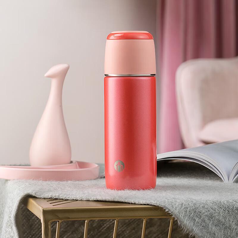 FUGUANG 316 Stainless Steel Insulated Tea Water Bottle with Filter, 500ml