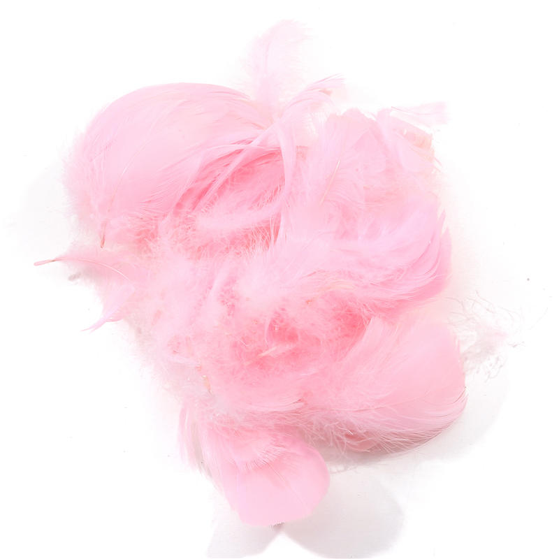 Dekoration Lose Federn Natürliche Gänsefeder Bunte Ornamente DIY Zuhause Heimdekor