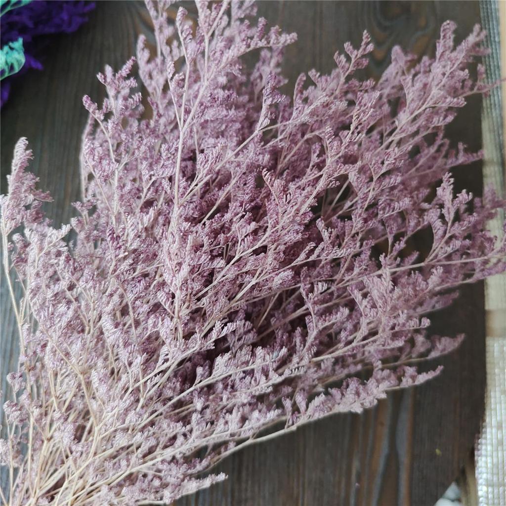 Everlasting White Dried Baby's Breath Flowers for Home Decor and Photography