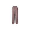 Nike Sportswear Phoenix Fleece Solid High-Waist Drawstring Casual Jogger Pants Women Bottoms Smoke-Gray Purple Red DQ5888-208