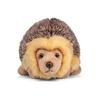Hedgehog stuffed toy Animal stuffed toy Hedgehog stuffed toy Hedgehog Hedgehog Overseas stuffed toy Tobar Animigos Tobar Animigos